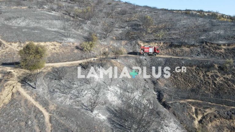 Λαμία : Κάηκαν περισσότερα από 1000 στρέμματα γης