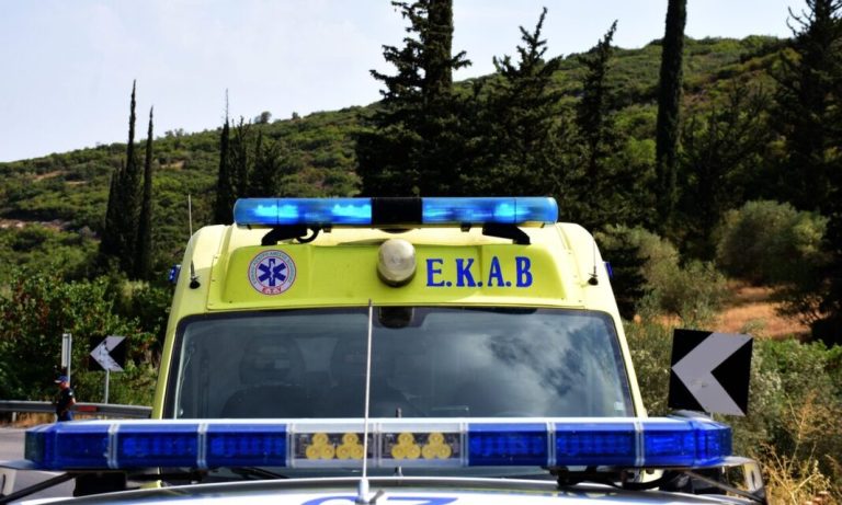 Μερκάδα: Προληπτικά στο νοσοκομείο ο κτηνοτρόφος που του επιτέθηκε αρκούδα