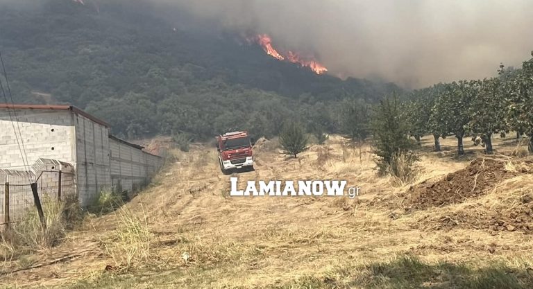 Φθιώτιδα: Έσβησε η φωτιά κοντά στη Συκά