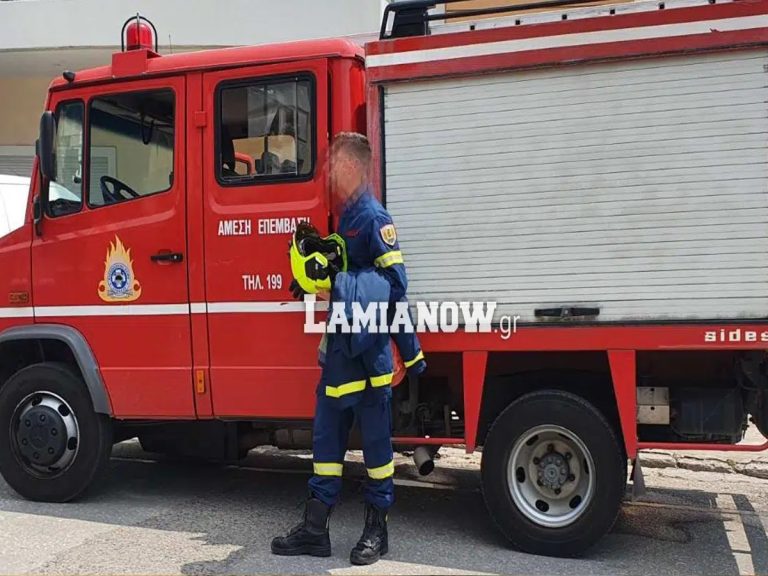 Στο κόκκινο για πυρκαγιές η Στερεά Ελλάδα – Μέχρι και 43 βαθμούς αναμένεται να δείξει ο υδράργυρος 