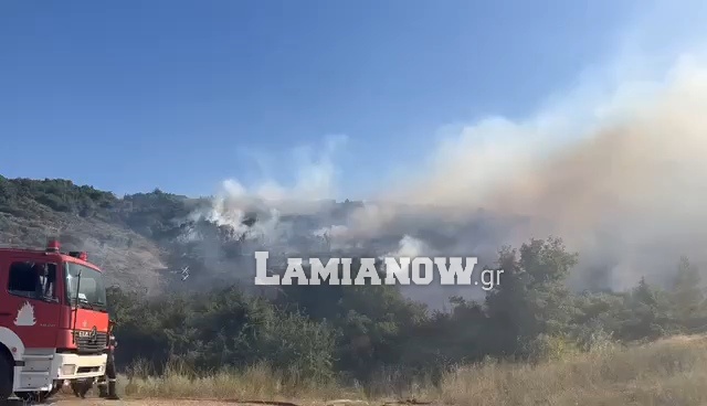 Στο κόκκινο και αύριο η Στερεά για εκδήλωση πυρκαγιάς – Δείτε το χάρτη Πολιτικής Προστασίας