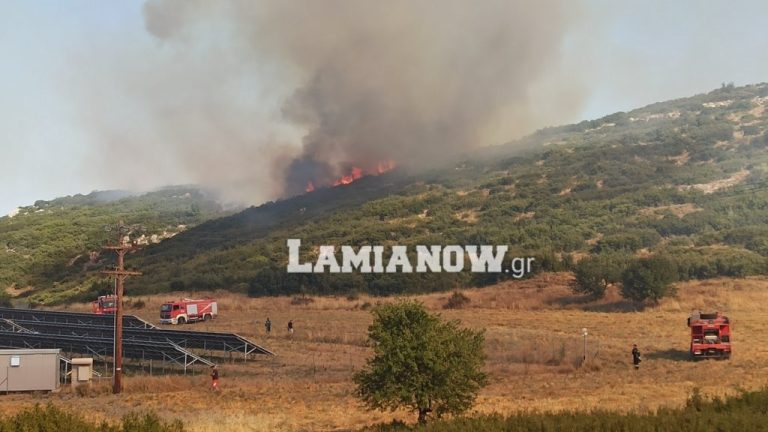 Έπιασαν την φωτιά στην Παναγιά Δομοκού