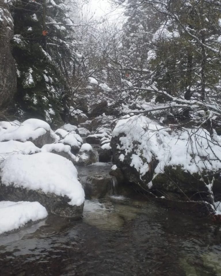 Οίτη: Απαράμιλλο ολόλευκο… κάλλος στο “Ροδοκάλο”! (Φωτό)