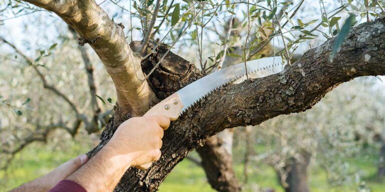 Φθιώτιδα: Απροστάτευτοι οι κάτοικοι από τους κλέφτες – Οργή για τα αλλεπάλληλα περιστατικά
