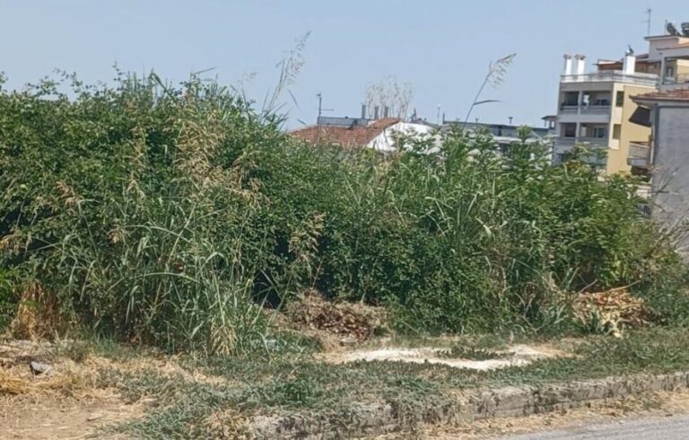 Καθάρισες το οικόπεδό σου; Ξεκινάει το σαφάρι προστίμων στον Δήμο Λαμιέων