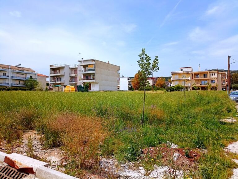 Λαμία : Πρόστιμο 1.000€ για ακαθάριστο οικόπεδο – Τι πρέπει να γνωρίζουν οι ιδιοκτήτες (Aud)